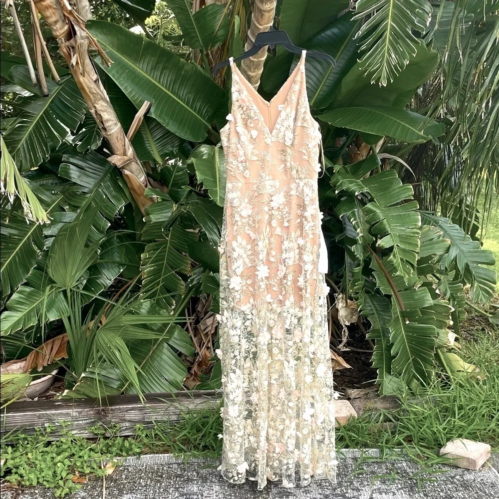 Anthropologie dress the population,  Sidney sheer floral tulle maxi dress - Picture 3 of 8